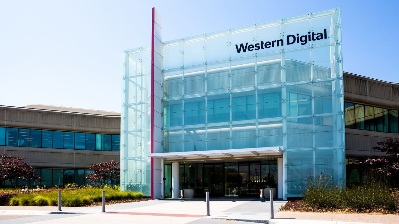 Black Cat and Western Digital