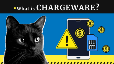 What is a Chargeware? Attacks & Examples | Gridinsoft