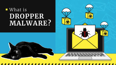 What is a Trojan Dropper Malware? Attacks Examples