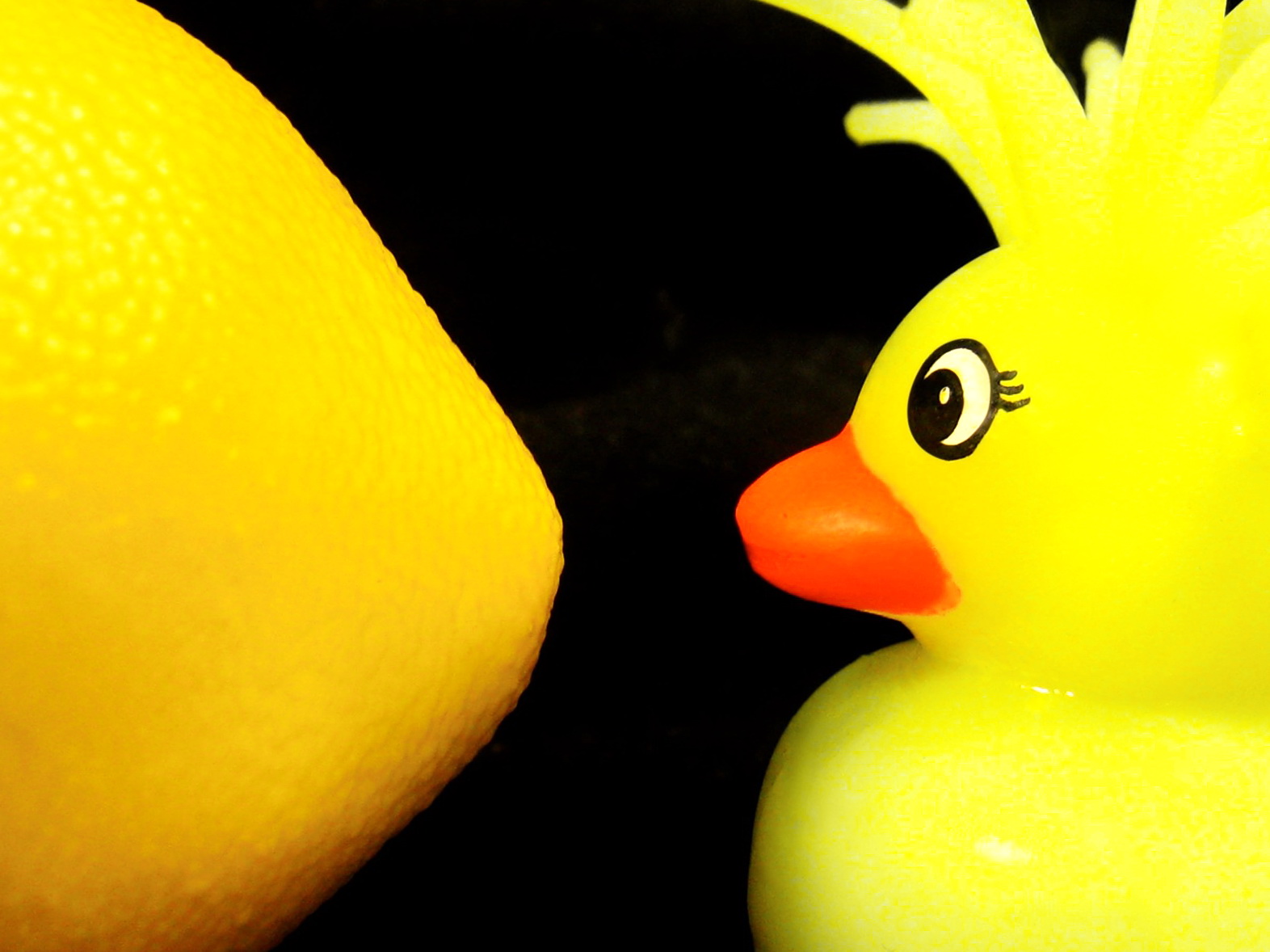 Lemon Duck Malware