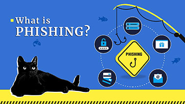 What is Phishing? Attack Techniques & Examples | Gridinsoft