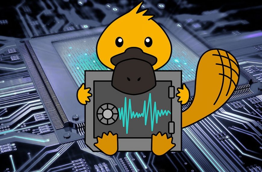 Platypus attack Intel processors