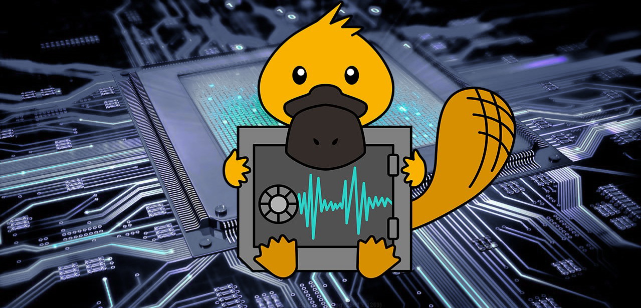 Platypus attack Intel processors