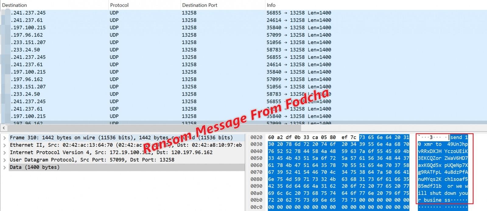 Updated Fodcha botnet