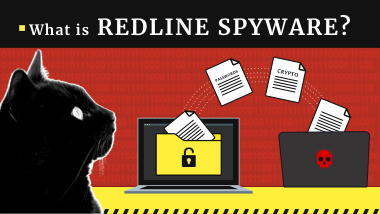 RedLine Stealer Malware Detailed Analysis