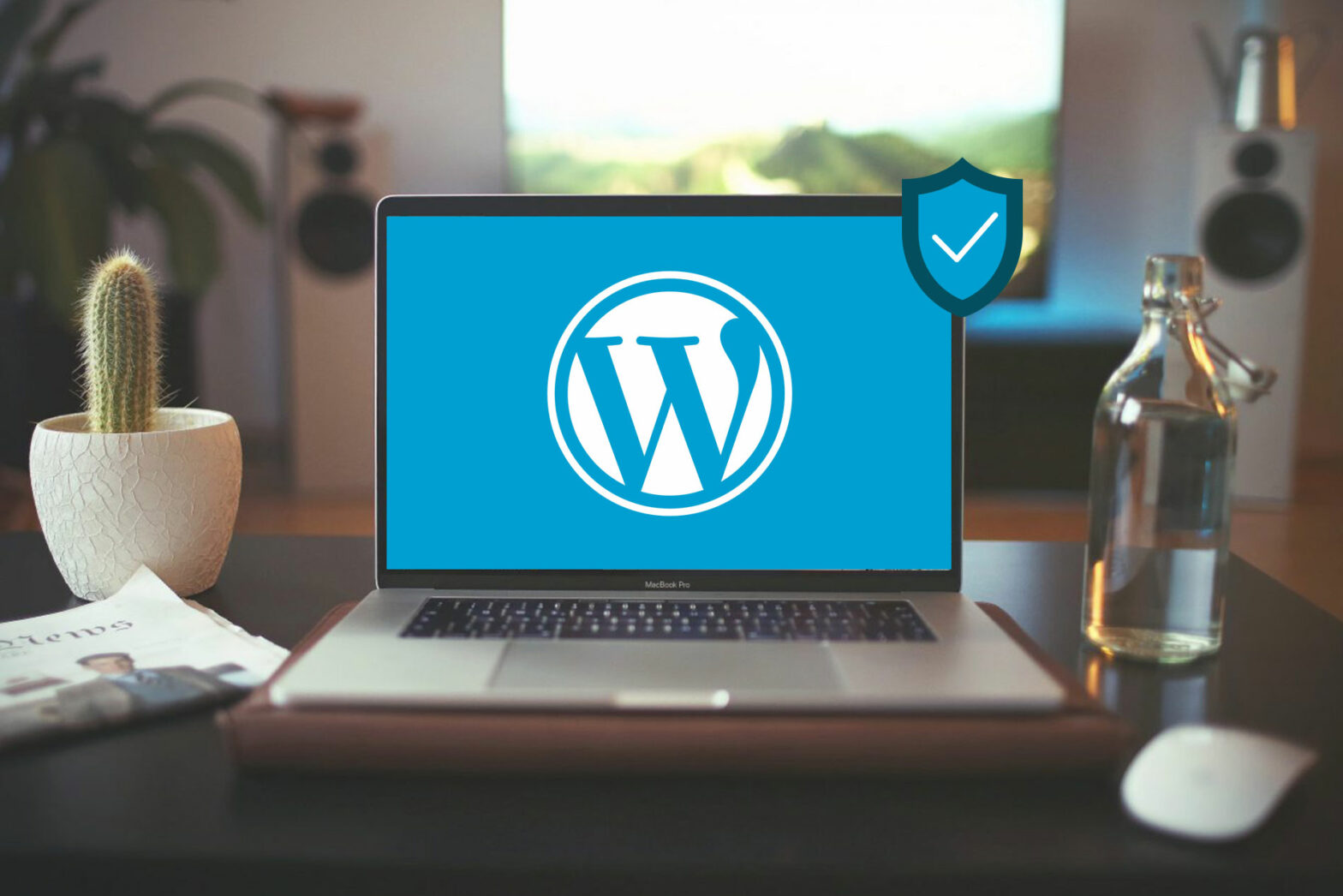 vulnerabilities in WordPress plugins