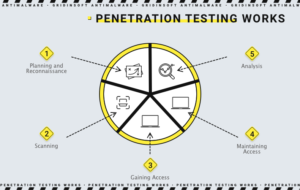 This diagram shows the stages and components of penetration testing.