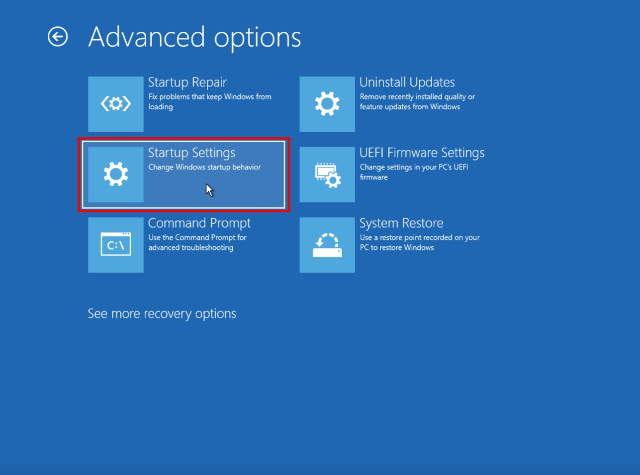 Advanced options on the recovery menu